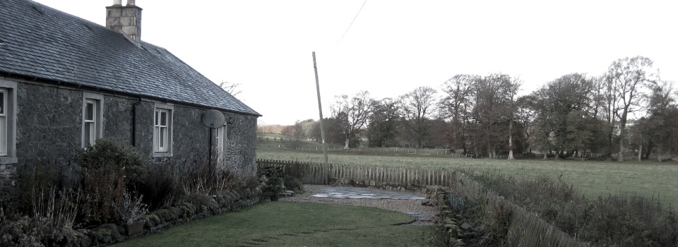 garden survey photo