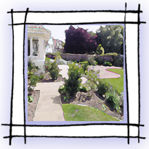 garden in square frame